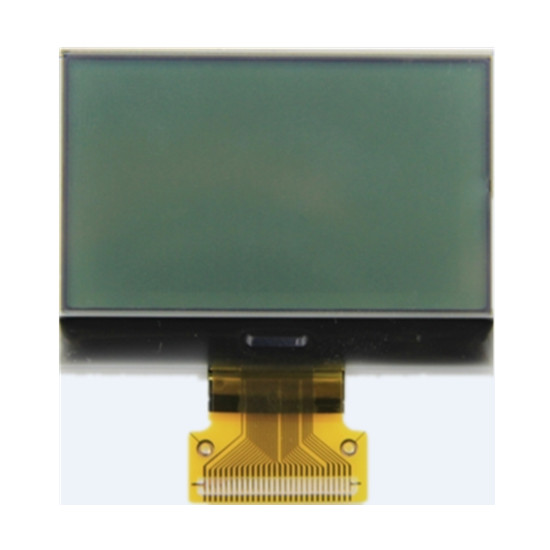 Módulo LCD COG monocromo